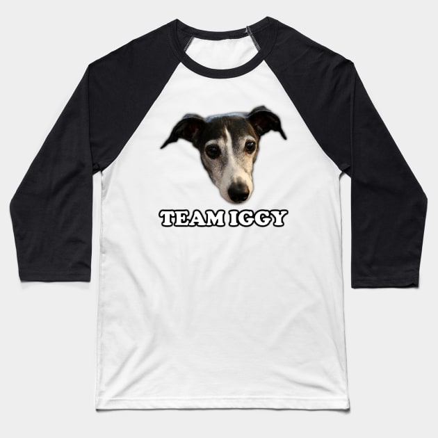 Pretty Good Cooking - Team Iggy Baseball T-Shirt by PrettyGoodCooking